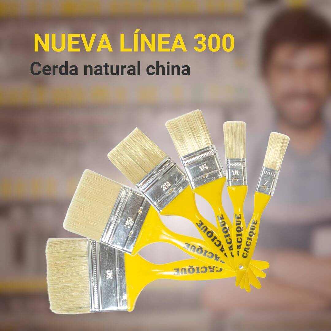 linea300